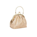 Rose Golden Frame Clutch