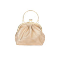 women Rose Golden Frame Clutch