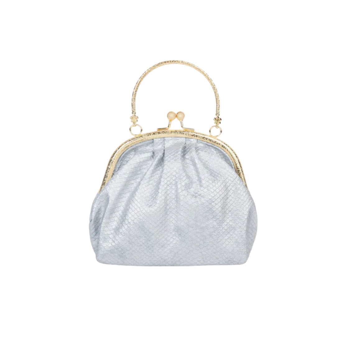 Silver Frame Clutch