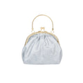 women Silver Frame Clutch