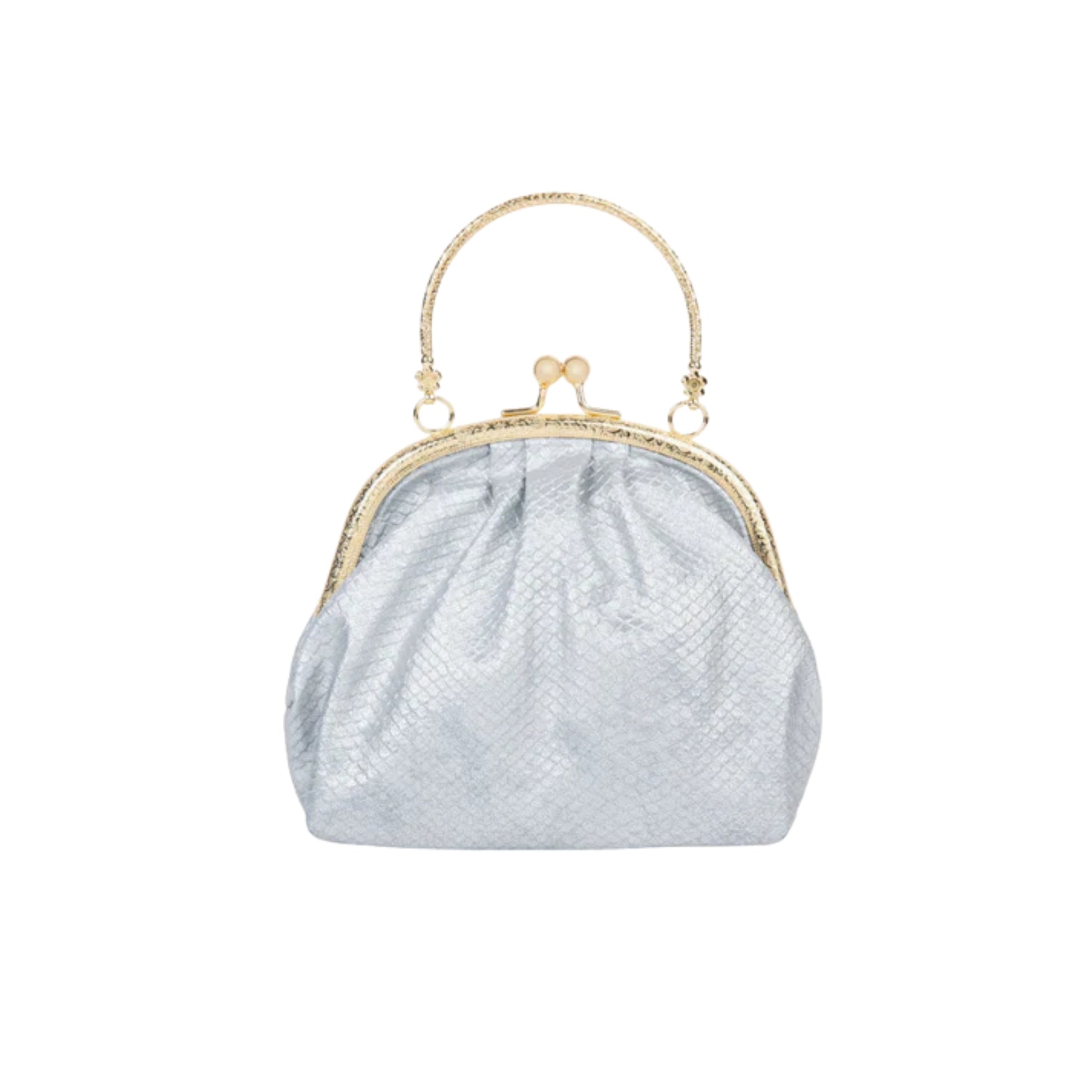 women Silver Frame Clutch